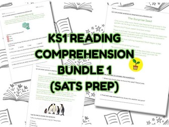 KS1 READING COMPREHENSION BUNDLE (SATS PREP)