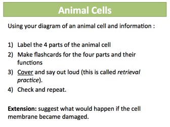 KS3 Cells & Organisation 5-6 Animal & Plant Cells