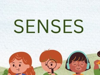 Christmas Science  Senses Lesson