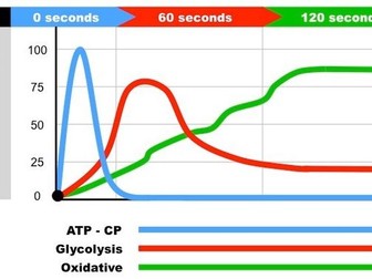 AQA A level PE - Energy Systems