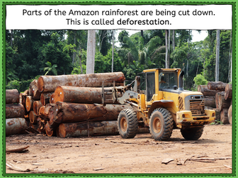 Understanding the impacts of deforestation in the Amazon - KS2