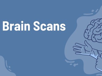 Brain Scans - Psychology A-Level