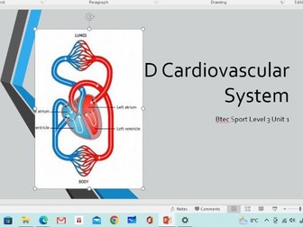 Btec Sport unit1D Cardiovascular system