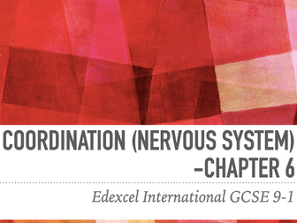 IGCSE International 9-1 Chapter 6 Nervous system
