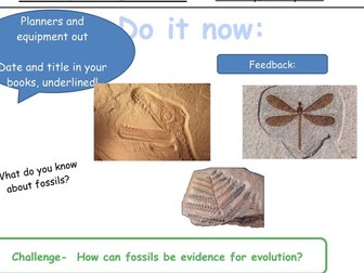 AQA Trilogy Biology Unit 7 Lesson 6 Darwin and Wallace