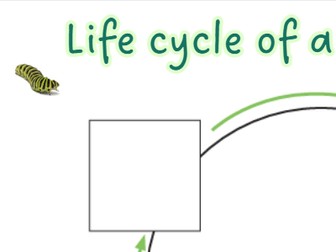Caterpillar life cycle