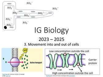 IG Biology 3 Movement into and out of cells