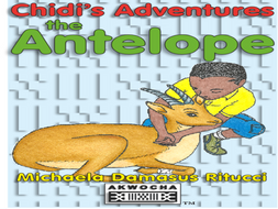 Chidi's Adventures: An African story lesson plans.