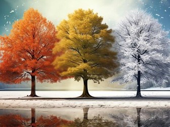 Goodbye Autumn, Hello Winter!