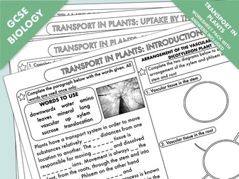 GCSE Biology Worksheet Pack on Transport in Plants: Transpiration