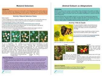 Nature Classroom: Exploring Evolution through Colour