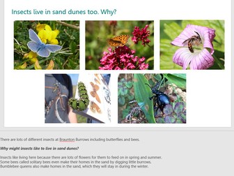 [KS2] Introducing Sand Dunes - ecology, biodiversity and conservation