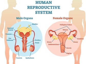 IGCSE Edexcel Biology chapter 9 revision notes