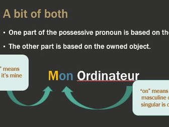Possessive adjectives and pronouns in French.