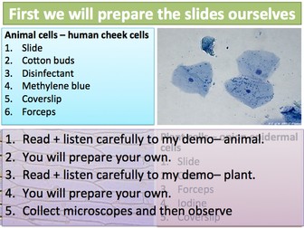 KS3 Cells & Organisation 7-8 Preparing Slides