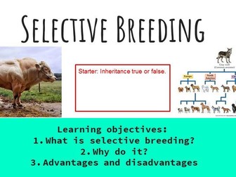Selective Breeding Full Lesson  9-1