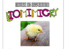 STEM - Biomimicry for Young Children - Birds' Feet and Legs