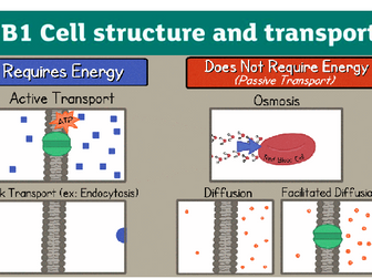 B1 Cell structure and transport (AQA)