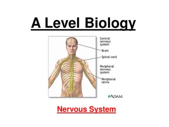 AQA A level biology Topic 6B flashcards