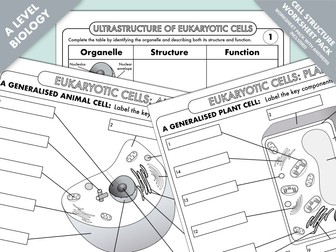 A Level Biology: Cell Structure Worksheet Bundle 