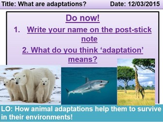Outstanding adaptations lesson