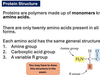 A Level Biology - Proteins lesson