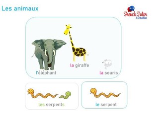 Les animaux - French animals