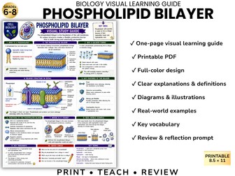 PHOSPHOLIPID BILAYER Biology Visual Learning Guide | Grade 8 & Middle School Science