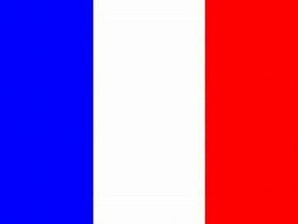 French likes and dislikes bingo supports Language Angels unit on Fruit