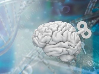 How do brain processes bias our decision-making?