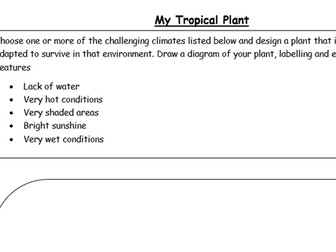 Rainforest - Design a Tropical Plant