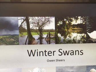 GCSE AQA Anthology Poem 'Winter Swans' analysis