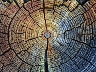 Evidence of Climate Change