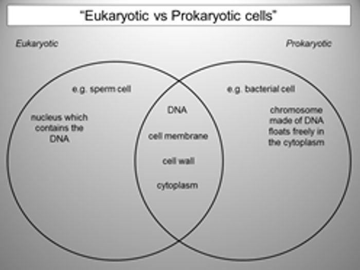 Topic B1.1: Cell Structures (OCR Gateway A GCSE Combined Science ...