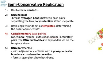 2026 Essay Preparation for A Level Biology AQA