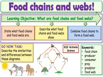 Food Chains and Webs KS3 Activate Science