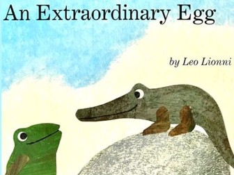 An Extraordinary Egg