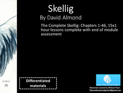 The Complete Skellig Chapters 1-46 - 15x1 hour lessons