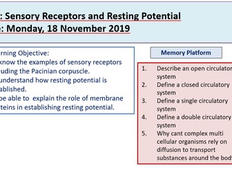 Resting Potential