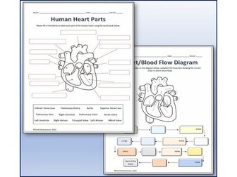 Human Heart Parts and Blood Flow Labeling Worksheets - Diagram + Vocab Quiz!