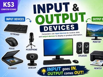 Input and Output devices