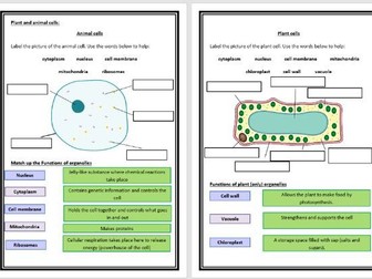 Edexcel GCSE Biology Revision Booklets - Key Concepts