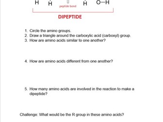 Protein structure worksheet