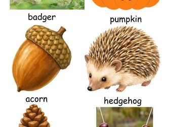 Autumn Indoor Nature Hunt