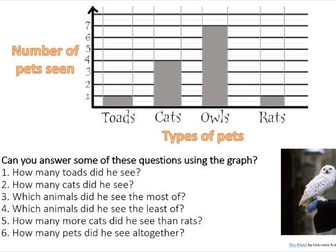 Harry Potter Bar Graph Lesson - Year 3