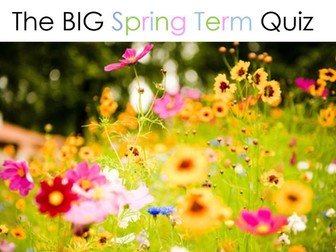 Spring Term Quiz (2021)