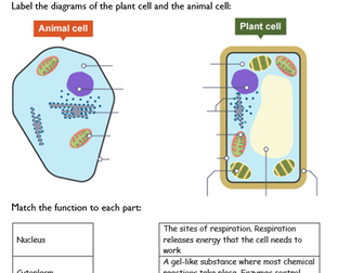 AQA Biology Paper 1 Revision Booklet- Combined