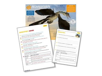 Primary science reading: Archaeopteryx