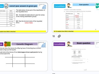 DNA and genetics revision GCSE Combined science AQA