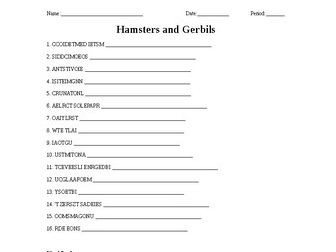 Hamsters and Gerbils Word Scramble for Small Animal Science Students